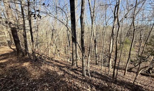 Photo #27 of 666 Soloman Rd, Prospect Hill, NC 28.0 acres