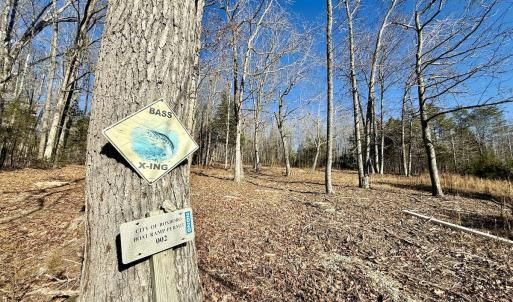 Photo #28 of 666 Soloman Rd, Prospect Hill, NC 28.0 acres