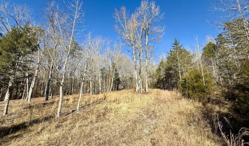 Photo #3 of 666 Soloman Rd, Prospect Hill, NC 28.0 acres