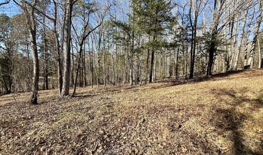 Photo #29 of 666 Soloman Rd, Prospect Hill, NC 28.0 acres