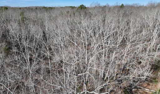 Photo #35 of 666 Soloman Rd, Prospect Hill, NC 28.0 acres