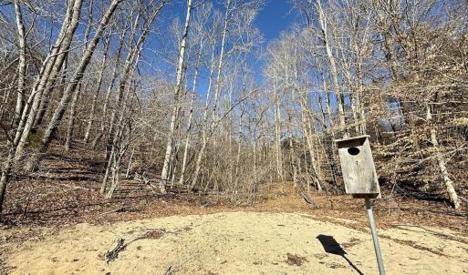 Photo #37 of 666 Soloman Rd, Prospect Hill, NC 28.0 acres