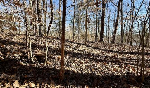 Photo #38 of 666 Soloman Rd, Prospect Hill, NC 28.0 acres