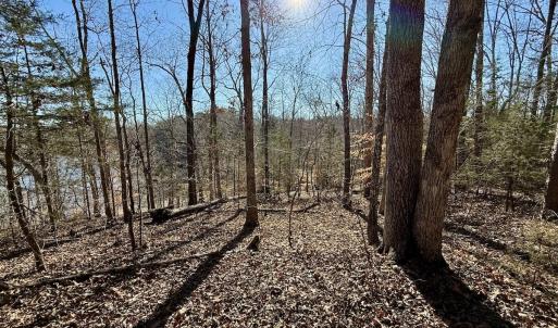 Photo #4 of 666 Soloman Rd, Prospect Hill, NC 28.0 acres