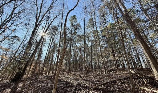 Photo #39 of 666 Soloman Rd, Prospect Hill, NC 28.0 acres