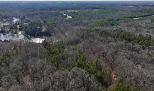 Photo #7 of 666 Soloman Rd, Prospect Hill, NC 28.0 acres