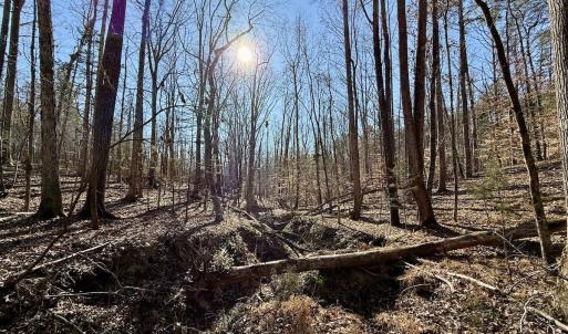 Photo #41 of 666 Soloman Rd, Prospect Hill, NC 28.0 acres