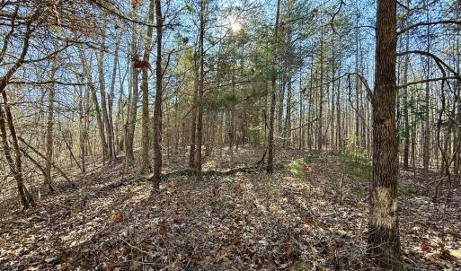 Photo #42 of 666 Soloman Rd, Prospect Hill, NC 28.0 acres