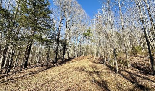 Photo #44 of 666 Soloman Rd, Prospect Hill, NC 28.0 acres