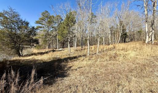 Photo #45 of 666 Soloman Rd, Prospect Hill, NC 28.0 acres