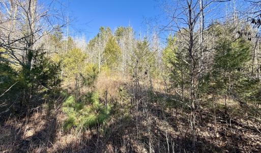 Photo #46 of 666 Soloman Rd, Prospect Hill, NC 28.0 acres