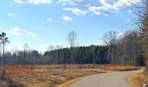 Photo #17 of Off White Oak Road, Dewitt, VA 52.5 acres