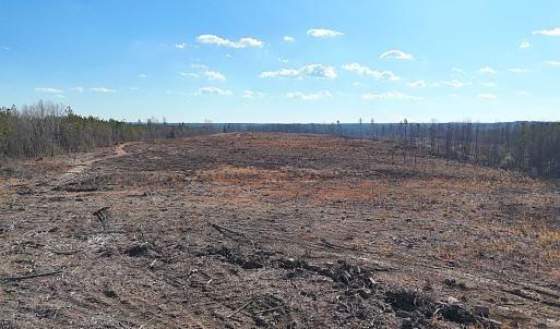 Photo #20 of Off White Oak Road, Dewitt, VA 52.5 acres