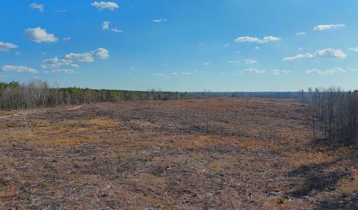 Photo #21 of Off White Oak Road, Dewitt, VA 52.5 acres