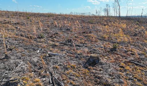 Photo #23 of Off White Oak Road, Dewitt, VA 52.5 acres