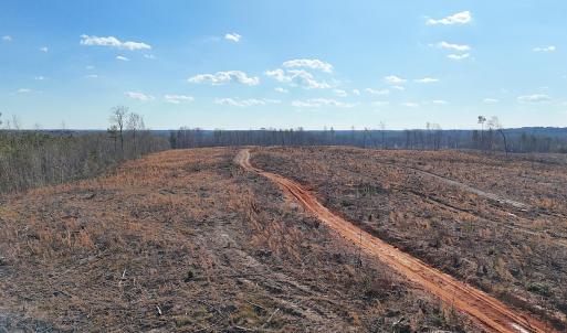 Photo #26 of Off White Oak Road, Dewitt, VA 52.5 acres