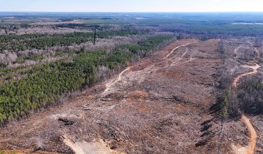 Photo #1 of Off White Oak Road, Dewitt, VA 52.5 acres