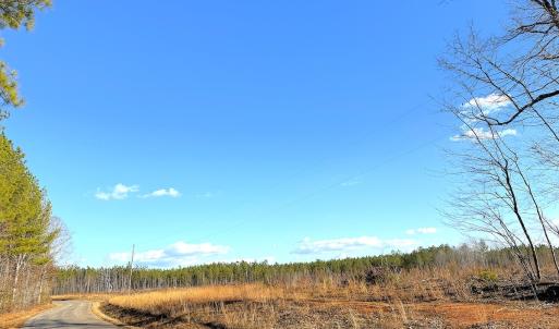 Photo #3 of Off White Oak Road, Dewitt, VA 52.5 acres
