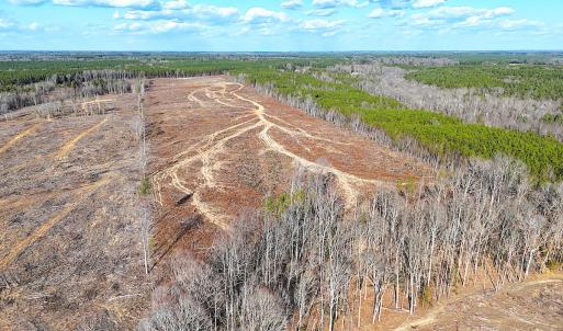 Photo #5 of Off White Oak Road, Dewitt, VA 52.5 acres