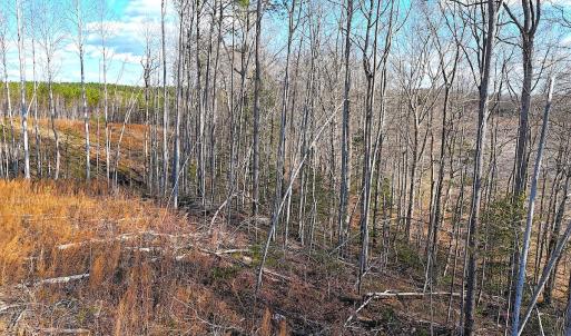 Photo #6 of Off White Oak Road, Dewitt, VA 52.5 acres