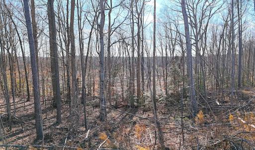 Photo #8 of Off White Oak Road, Dewitt, VA 52.5 acres