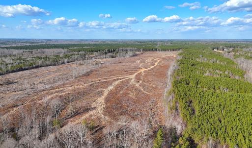 Photo #10 of Off White Oak Road, Dewitt, VA 52.5 acres