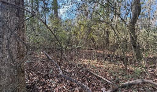 Photo #19 of Off Euray Moore Road (Lot 5), Warsaw, NC 6.2 acres