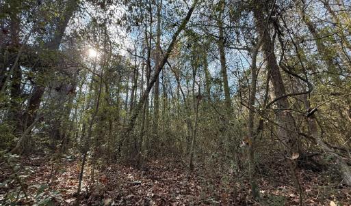 Photo #45 of Off Euray Moore Road (Lot 5), Warsaw, NC 6.2 acres