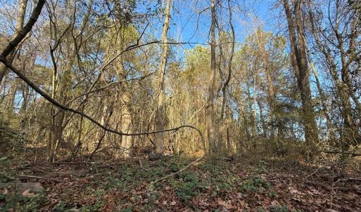 Photo #7 of Off Euray Moore Road (Lot 5), Warsaw, NC 6.2 acres