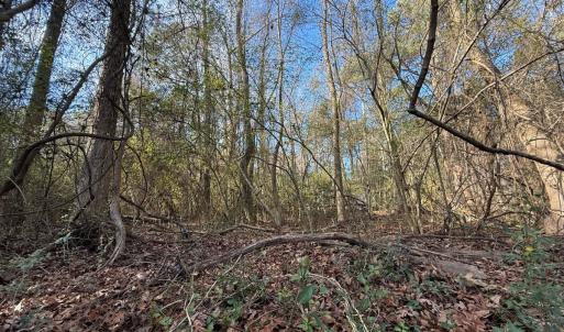 Photo #20 of Off Euray Moore Road (Lot 6), Warsaw, NC 5.6 acres