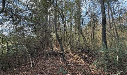 Photo #41 of Off Euray Moore Road (Lot 6), Warsaw, NC 5.6 acres