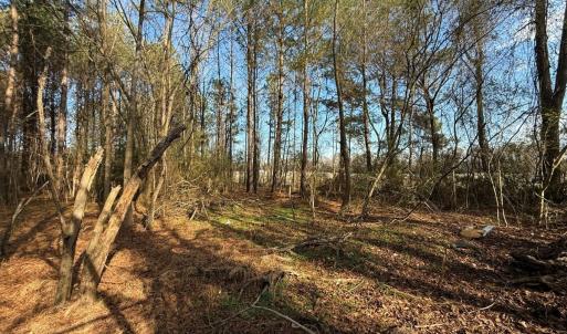 Photo #43 of Off Euray Moore Road (Lot 6), Warsaw, NC 5.6 acres
