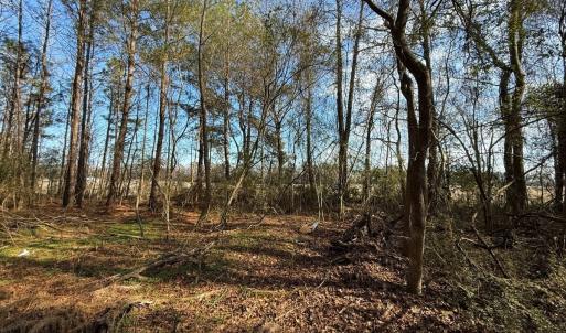 Photo #44 of Off Euray Moore Road (Lot 6), Warsaw, NC 5.6 acres