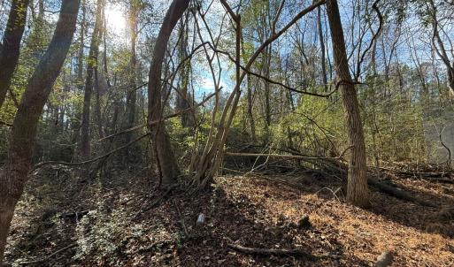 Photo #17 of Off Euray Moore Road (Lot 7), Warsaw, NC 2.7 acres
