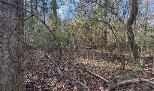Photo #19 of Off Euray Moore Road (Lot 7), Warsaw, NC 2.7 acres