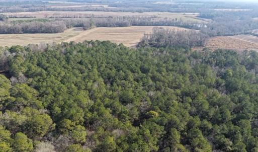 Photo #48 of Off Euray Moore Road (Lot 7), Warsaw, NC 2.7 acres