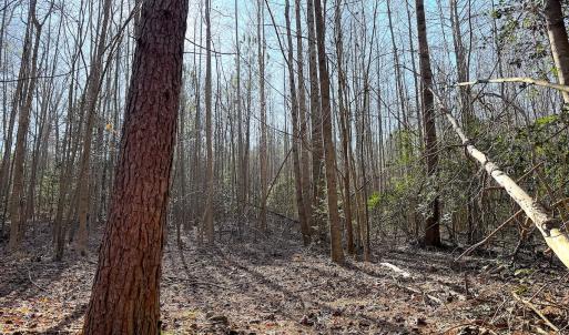 Photo #30 of Off Quaker Road, Dinwiddie, VA 30.0 acres