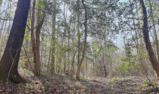 Photo #31 of Off Quaker Road, Dinwiddie, VA 30.0 acres