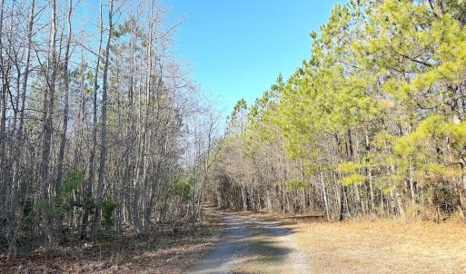 Photo #3 of Off Quaker Road, Dinwiddie, VA 30.0 acres