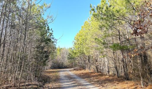 Photo #4 of Off Quaker Road, Dinwiddie, VA 30.0 acres