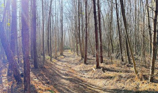 Photo #6 of Off Quaker Road, Dinwiddie, VA 30.0 acres