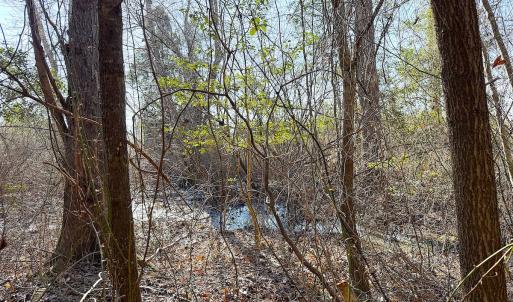 Photo #8 of Off Quaker Road, Dinwiddie, VA 30.0 acres