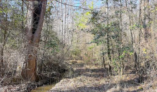 Photo #9 of Off Quaker Road, Dinwiddie, VA 30.0 acres
