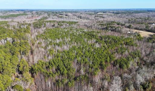 Photo #12 of Off Quaker Road, Dinwiddie, VA 30.0 acres