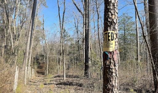 Photo #14 of Off Quaker Road, Dinwiddie, VA 30.0 acres