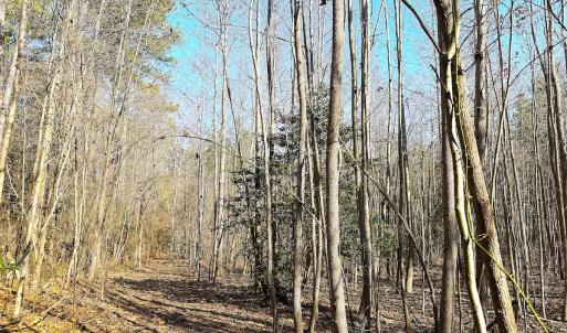 Photo #15 of Off Quaker Road, Dinwiddie, VA 30.0 acres