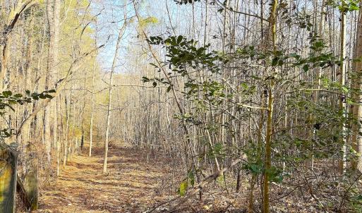 Photo #17 of Off Quaker Road, Dinwiddie, VA 30.0 acres