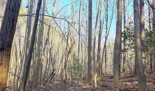 Photo #18 of Off Quaker Road, Dinwiddie, VA 30.0 acres