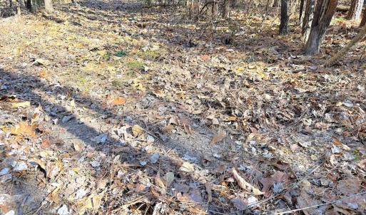 Photo #20 of Off Quaker Road, Dinwiddie, VA 30.0 acres