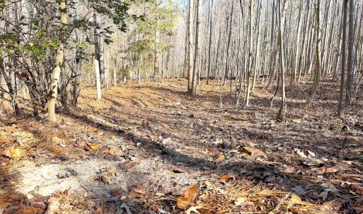 Photo #21 of Off Quaker Road, Dinwiddie, VA 30.0 acres